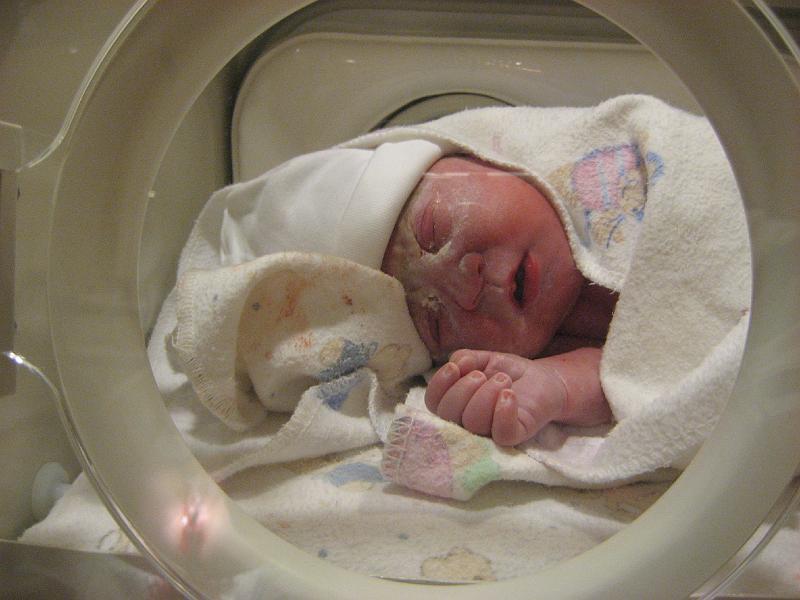 alle foto's januari2008 316.jpg